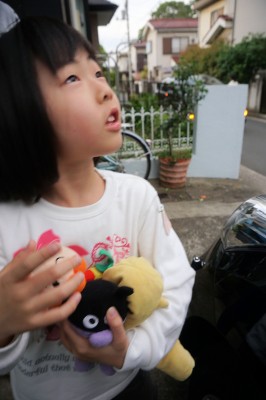 DSC08752