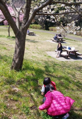 IMG_20170403_115700