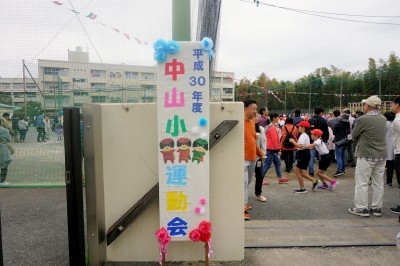 DSC07972